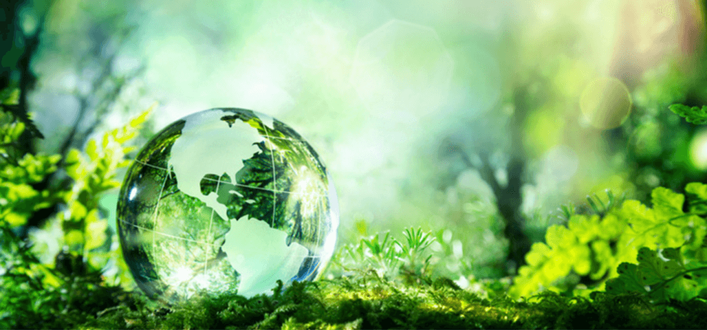 Environment